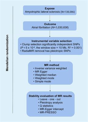 A causal association between amyotrophic lateral sclerosis and atrial fibrillation: a two-sample Mendelian randomization study